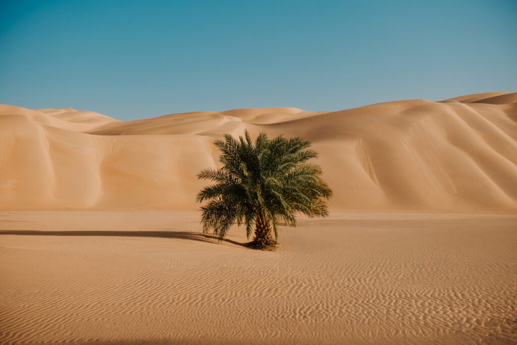 Contact agence voyage Mauritanie , voyage Mauritanie